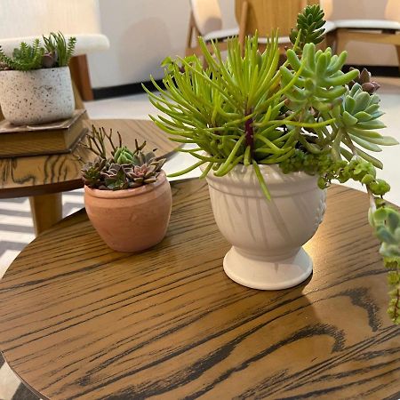 Apartamento Em Santa Teresa 圣特雷莎 外观 照片